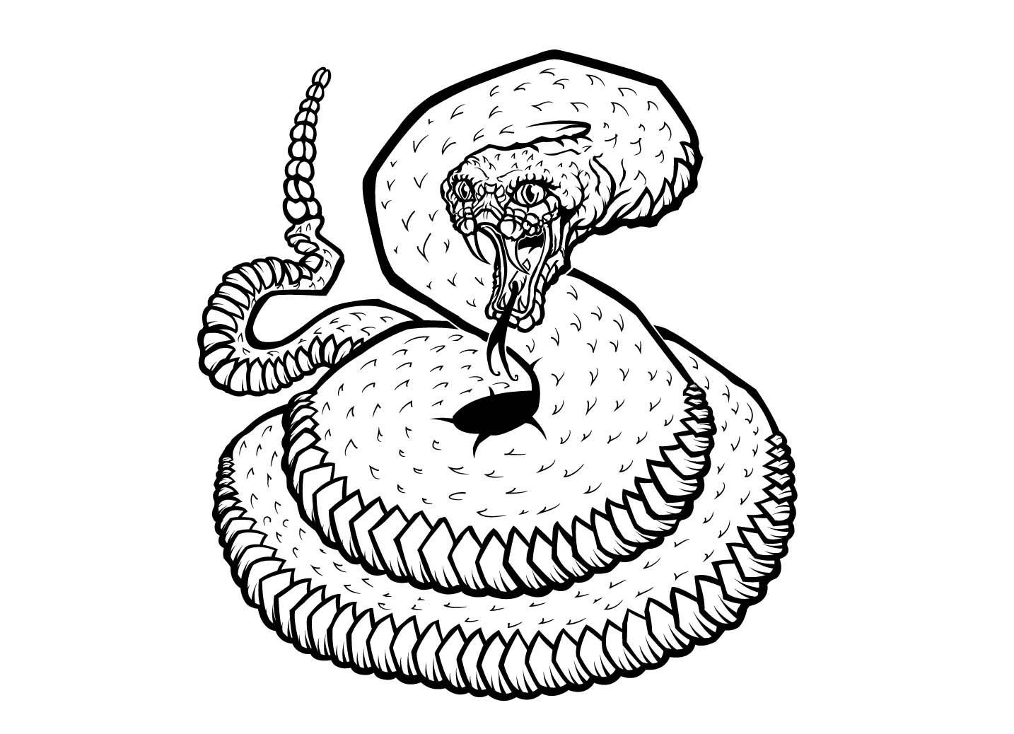 1434x1038 Rattlesnake Vector Art