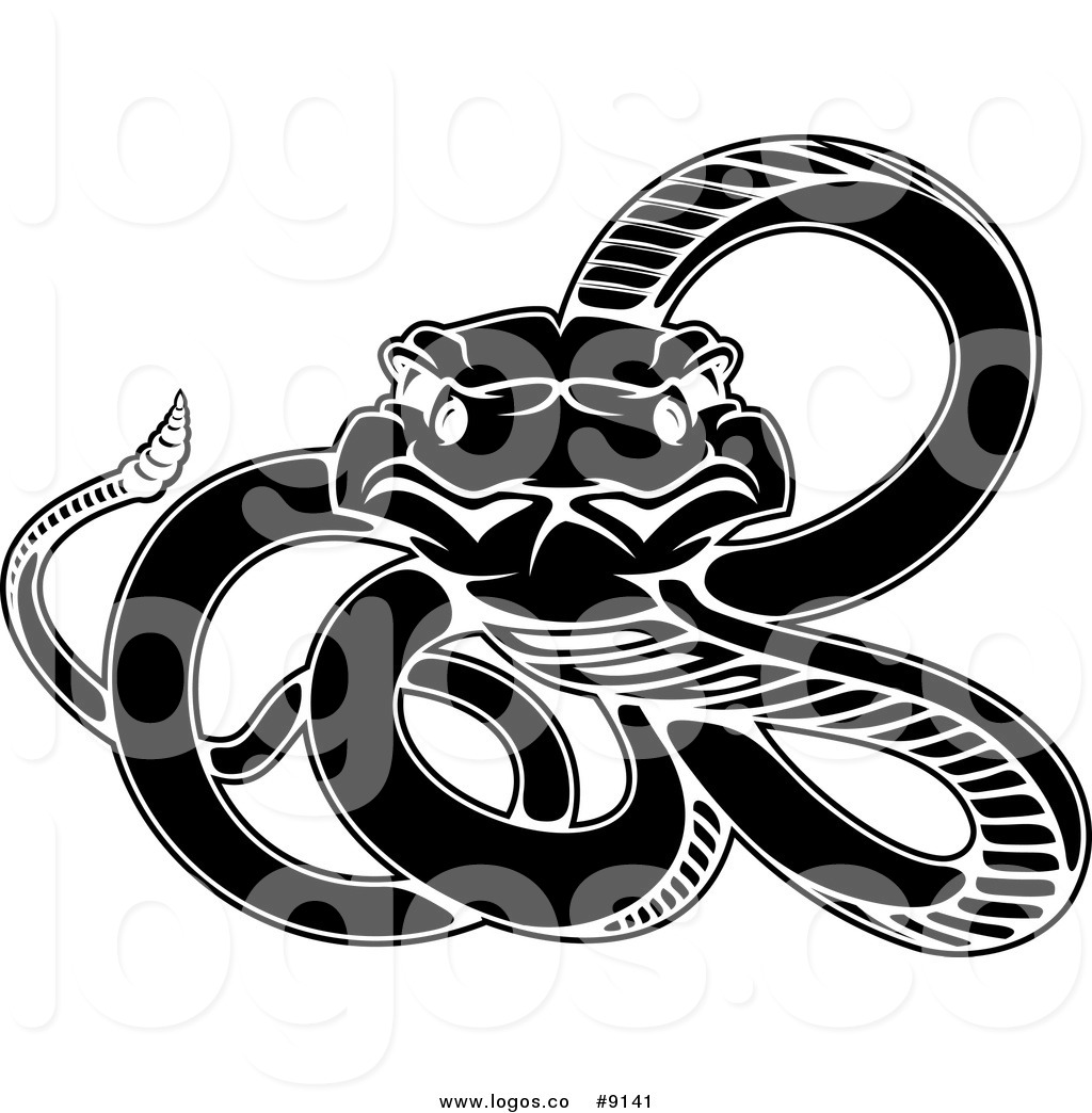 1024x1044 Rattlesnake Clipart Vector ~ Frames ~ Illustrations ~ Hd Images