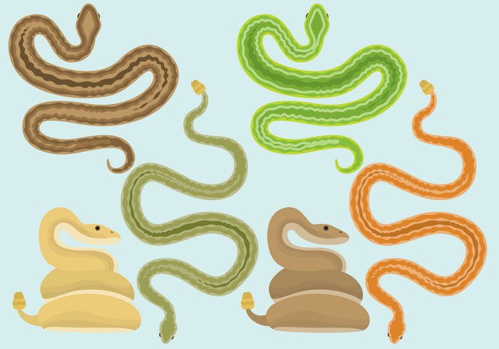700x490 Snakes With Rattlesnake Vectors Ai Format Free Vector Download