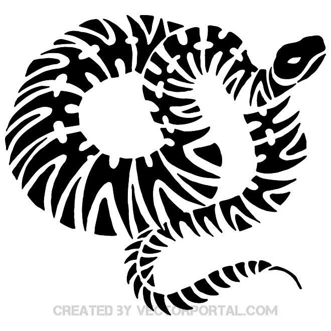 660x660 Rattlesnake Free Vector Free Vectors Ui Download
