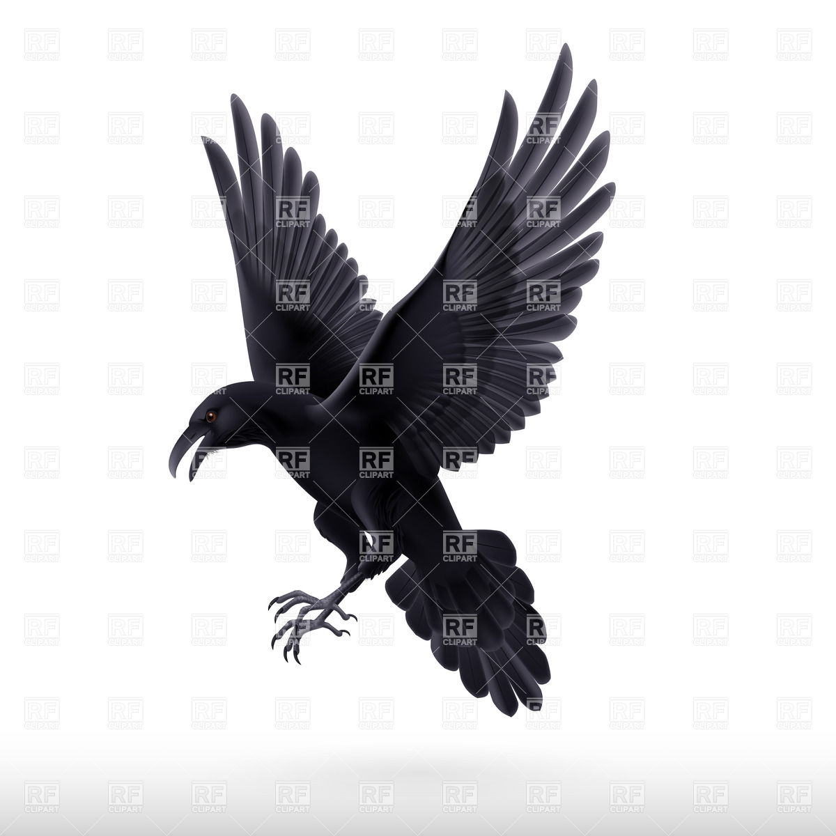 1200x1200 Aggressive Black Raven Vector Image Vector Artwork Of Plants And