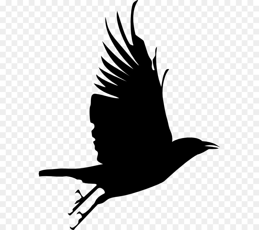 900x800 Bird Crow Silhouette Clip Art