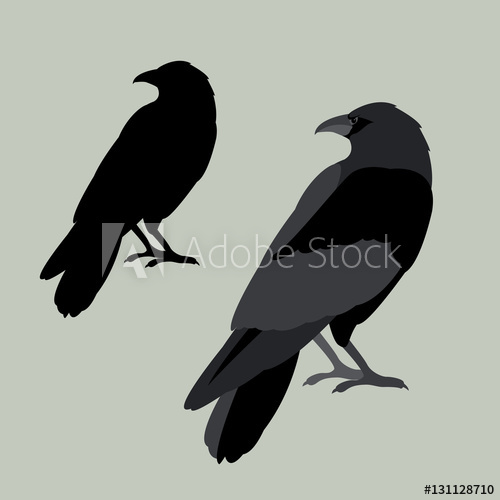 500x500 Raven Vector Illustration Style Flat Set