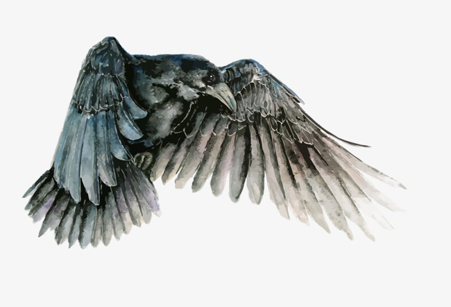 650x442 Vector Raven, Hand Painted, Crow, Birds Png And Vector For Free