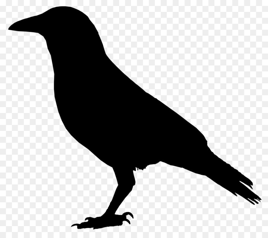 900x800 Crows Drawing Clip Art