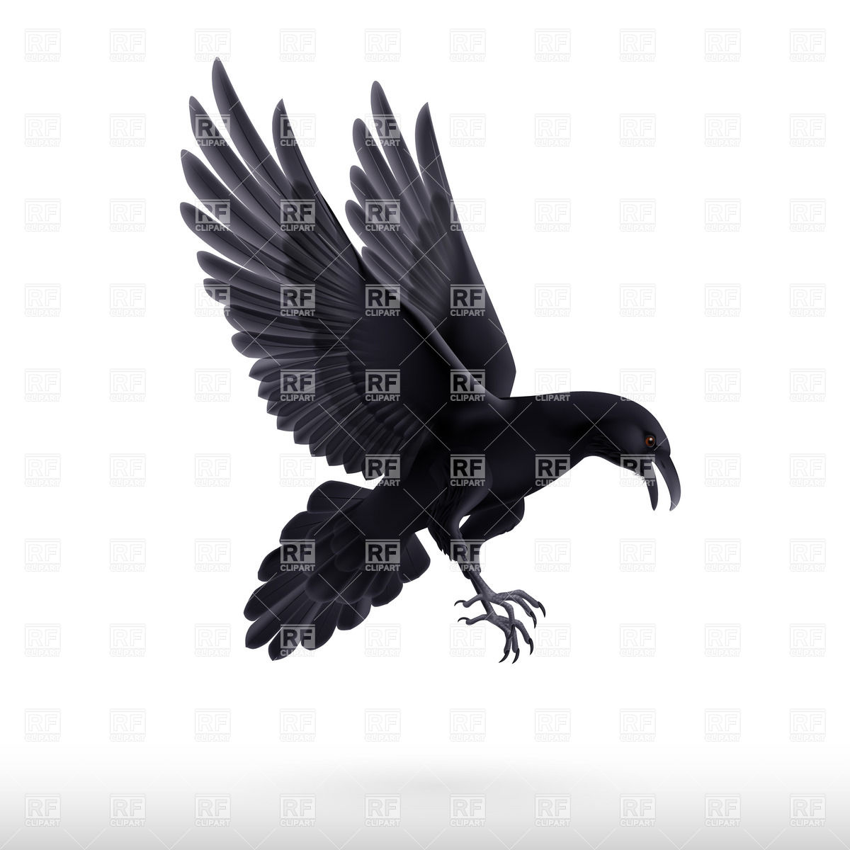 1200x1200 Flying Black Raven Isolated On White Background Vector Image