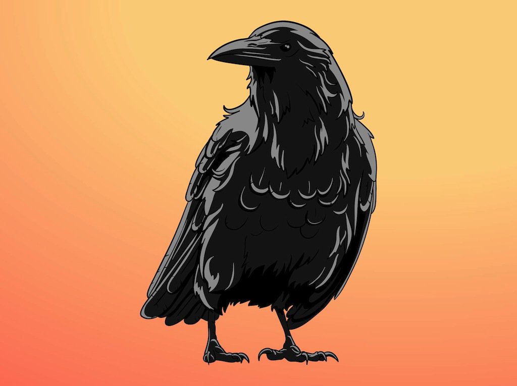 1024x765 Raven Vector Art Amp Graphics