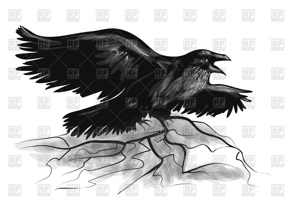 1200x849 Raven With Wide Spread Wings Black Vector Image Vector Artwork