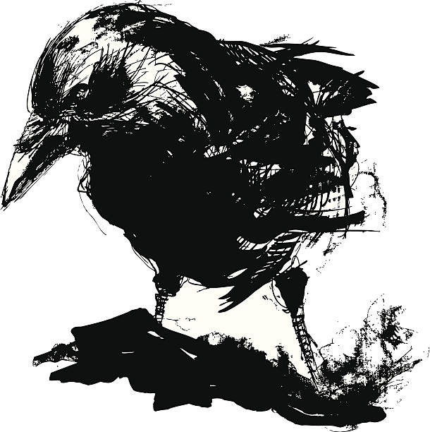 610x612 Collection Of Raven Bird Clipart High Quality, Free Cliparts
