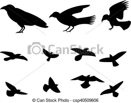 450x355 Silhouette Flying Raven Bird, Vector Design.
