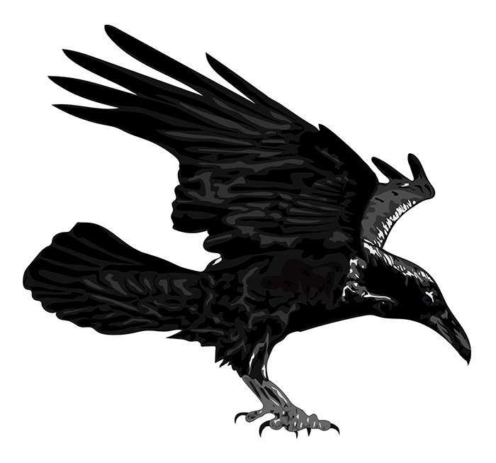 700x653 Stylized Raven. Vector Art Etsy