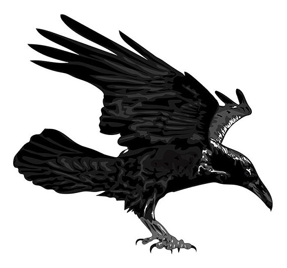 570x532 Stylized Raven. Vector Art Vector Art And Ravens
