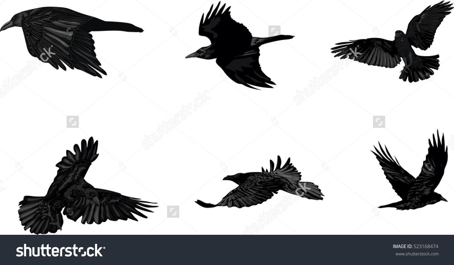1500x877 Vector Set Of Flying Crows. High Detailed Vector Art.raven Illus