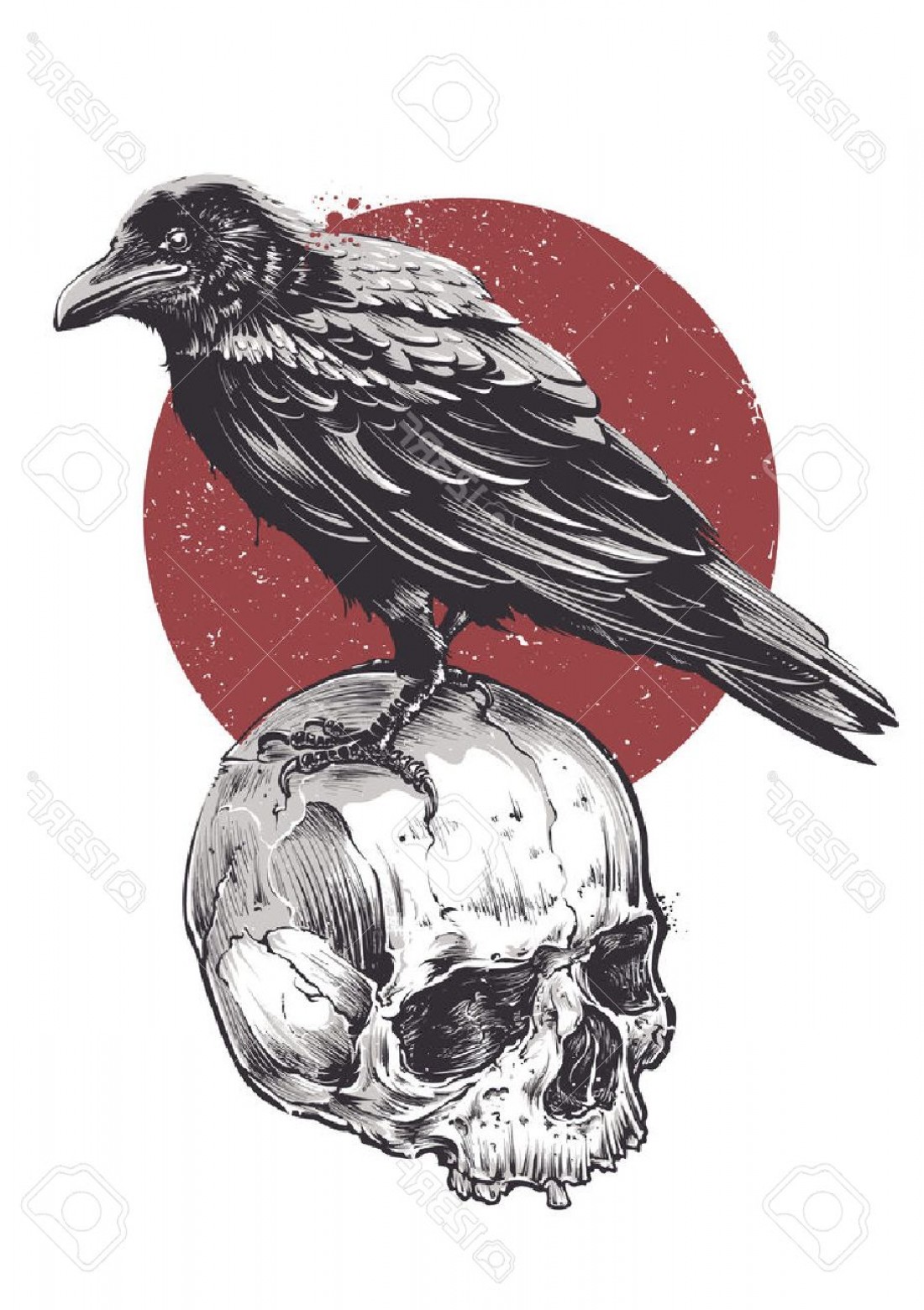 Raven Vector Art at GetDrawings | Free download