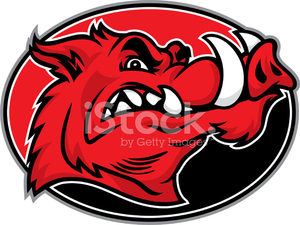 585x439 Razorback Resistente Stock Vector