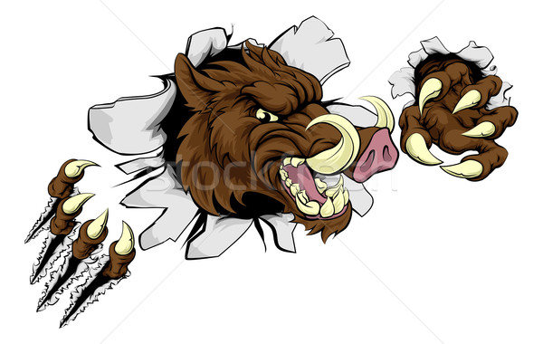 600x380 Razorback Stock Vectors, Illustrations And Cliparts Stockfresh