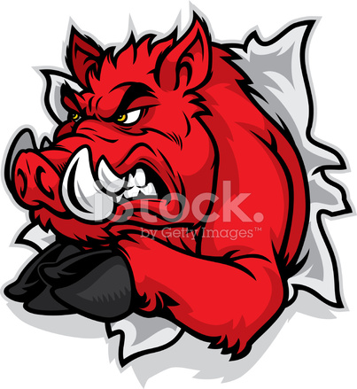 403x439 Saut De Razorback Stock Vector