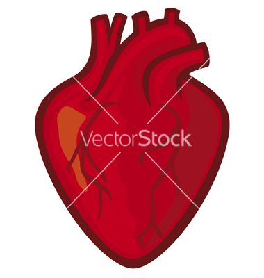 Real Heart Vector