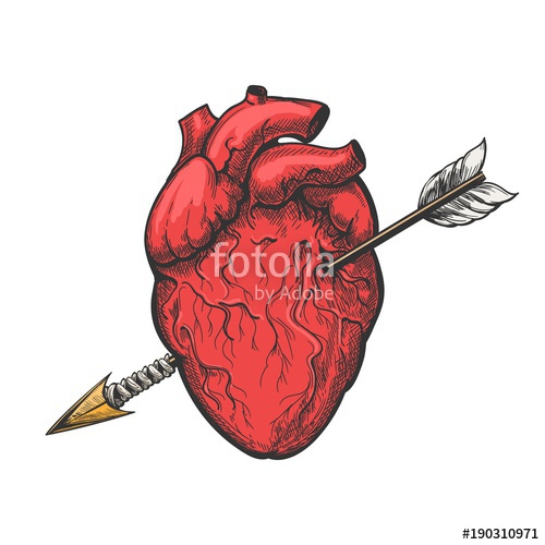 500x500 Human Heart With Arrow Drawing. Real Vector Love Heart Tattoo