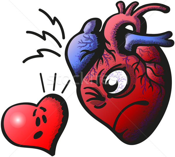 600x540 Real Heart Vs Cartoon Heart Vector Illustration Zooco ( 3469436