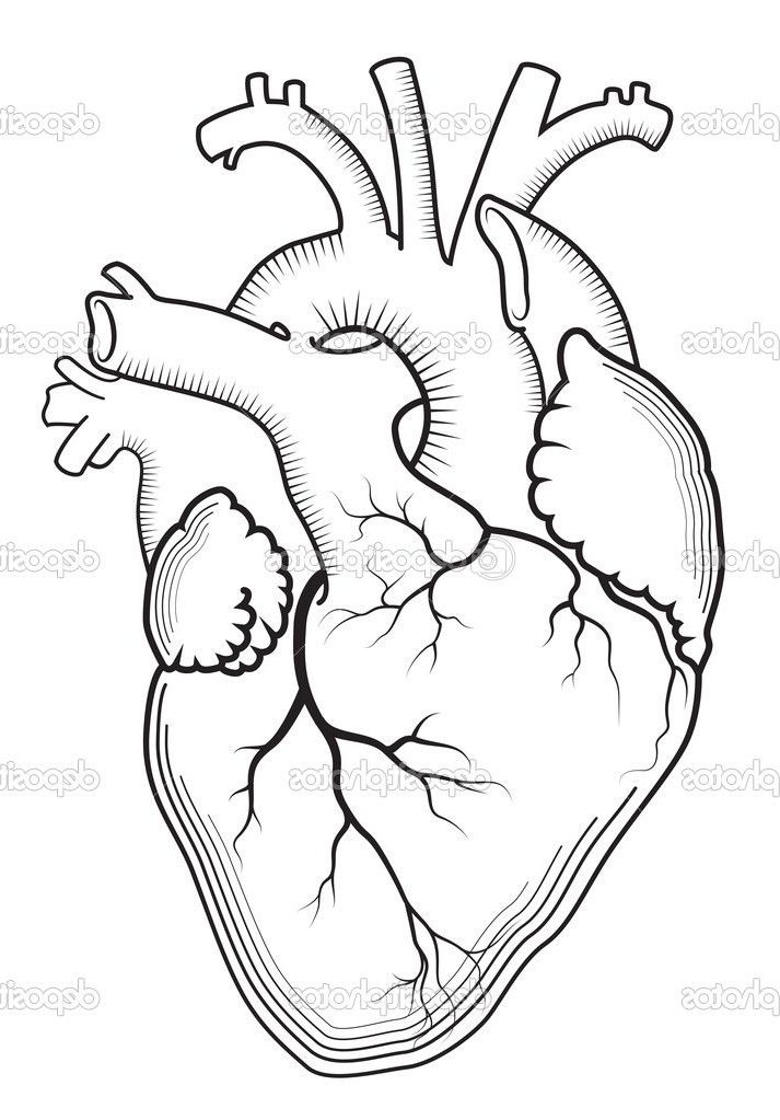 713x1023 Drawn Hearts Realistic 3346993