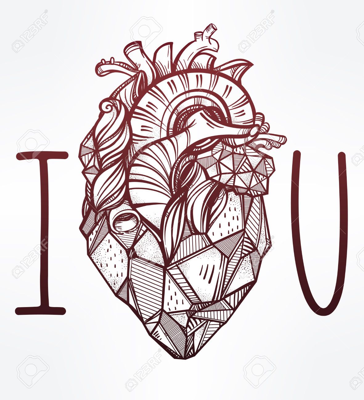 1181x1300 Drawn Heart Human Heart