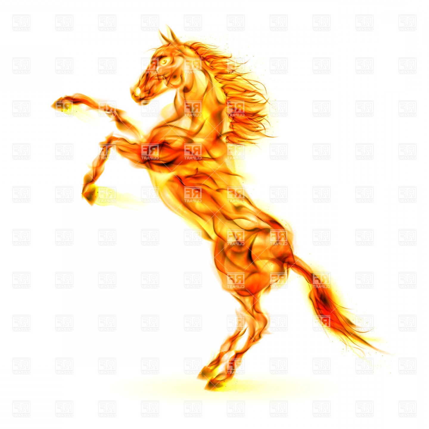 Rearing Horse Vector at GetDrawings | Free download