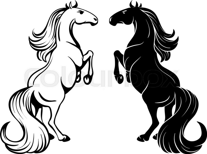 800x595 Isolated Drawing Of A Rearing Horse
