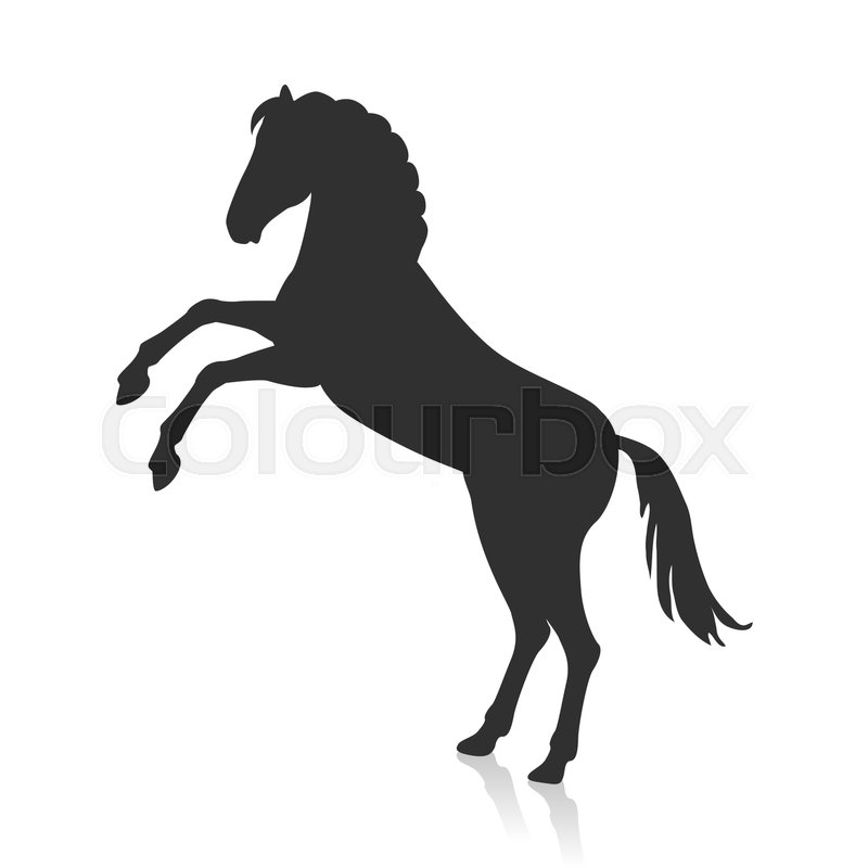 800x800 Rearing Horse With Hind Legs Vector Logo. Flat Design. Domestic