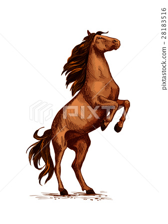 337x450 Rearing Wild Horse Vector Sketch Symbol