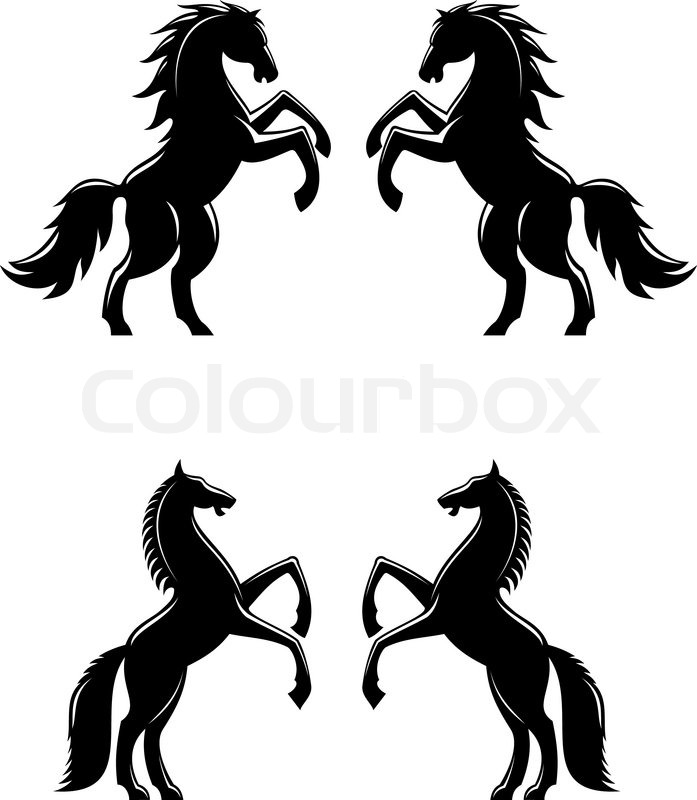 Rearing Horse Vector at GetDrawings | Free download