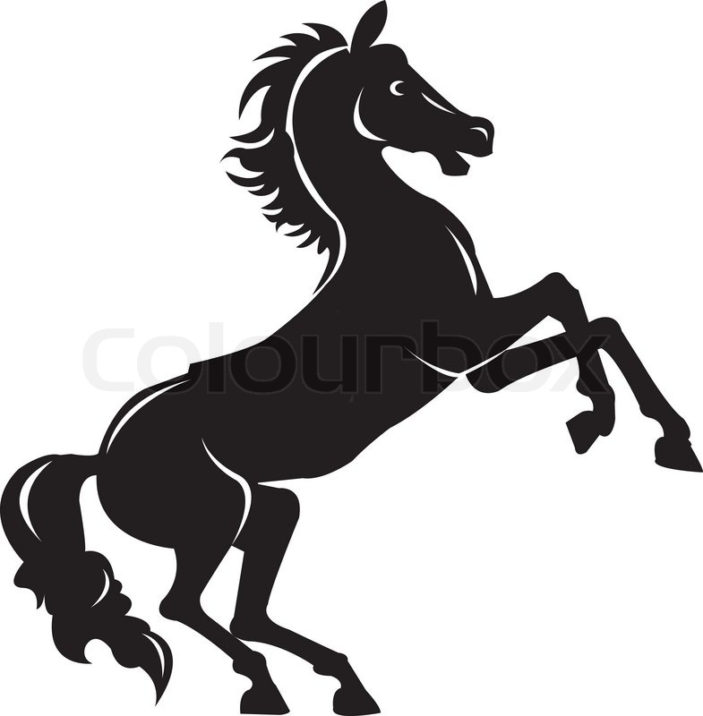 785x800 Rearing Horse Fine Vector Silhouette