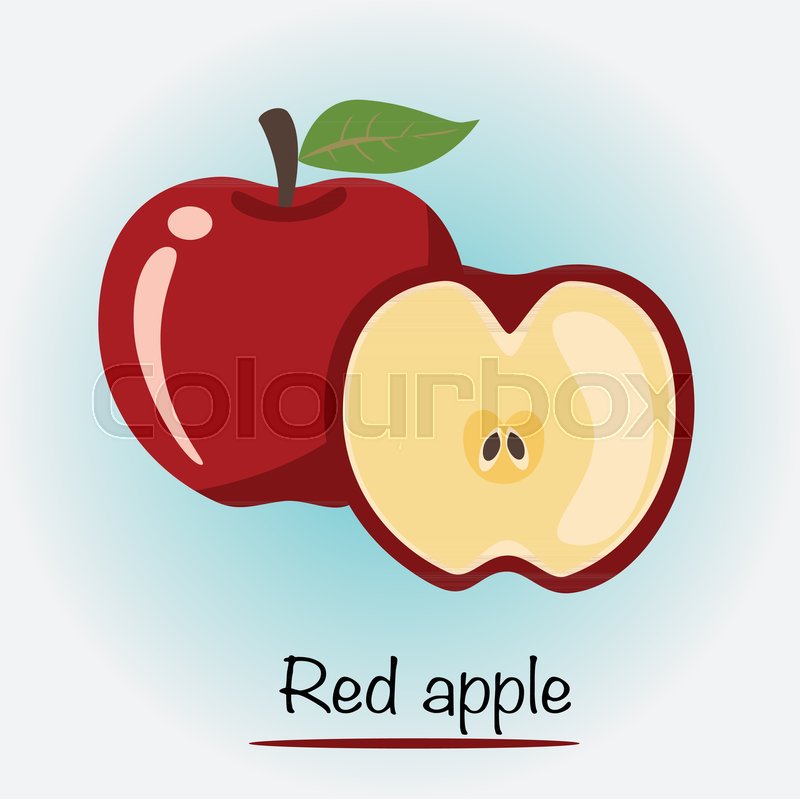 800x799 Red Apple Vector. Fruits And Vegetables. Vector Illustration
