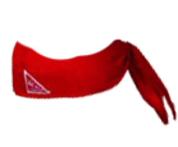 600x496 15 Red Bandana Png For Free Download On Mbtskoudsalg