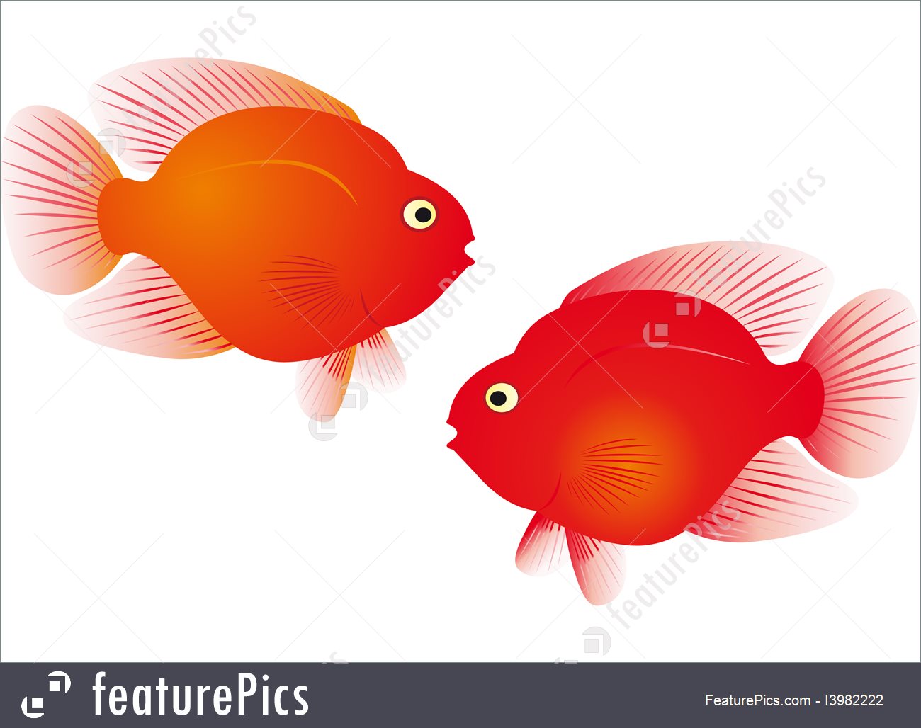 1300x1028 Red Parrot Fish Vector