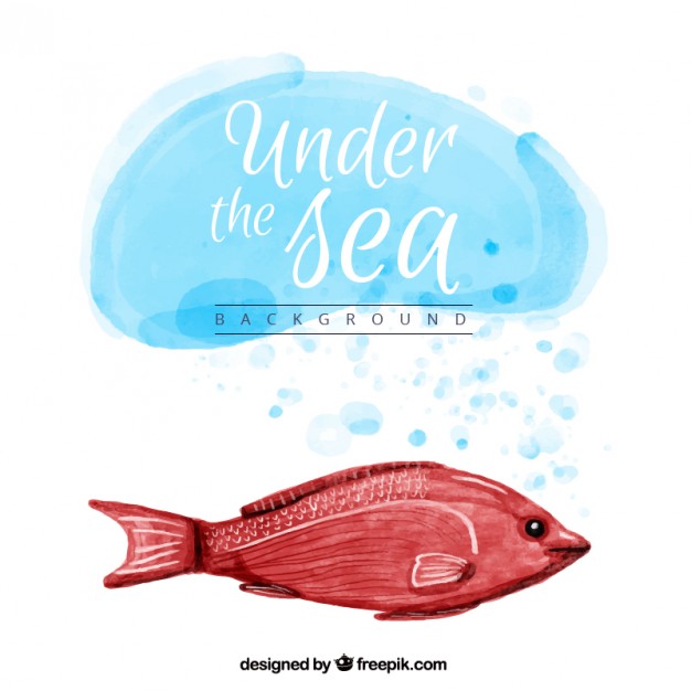 626x626 Watercolor Background With A Red Fish Vector Free Download