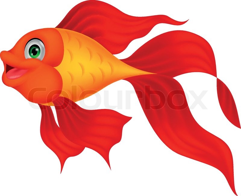 800x651 Cute Golden Fish Cartoon Stock Vector Colourbox