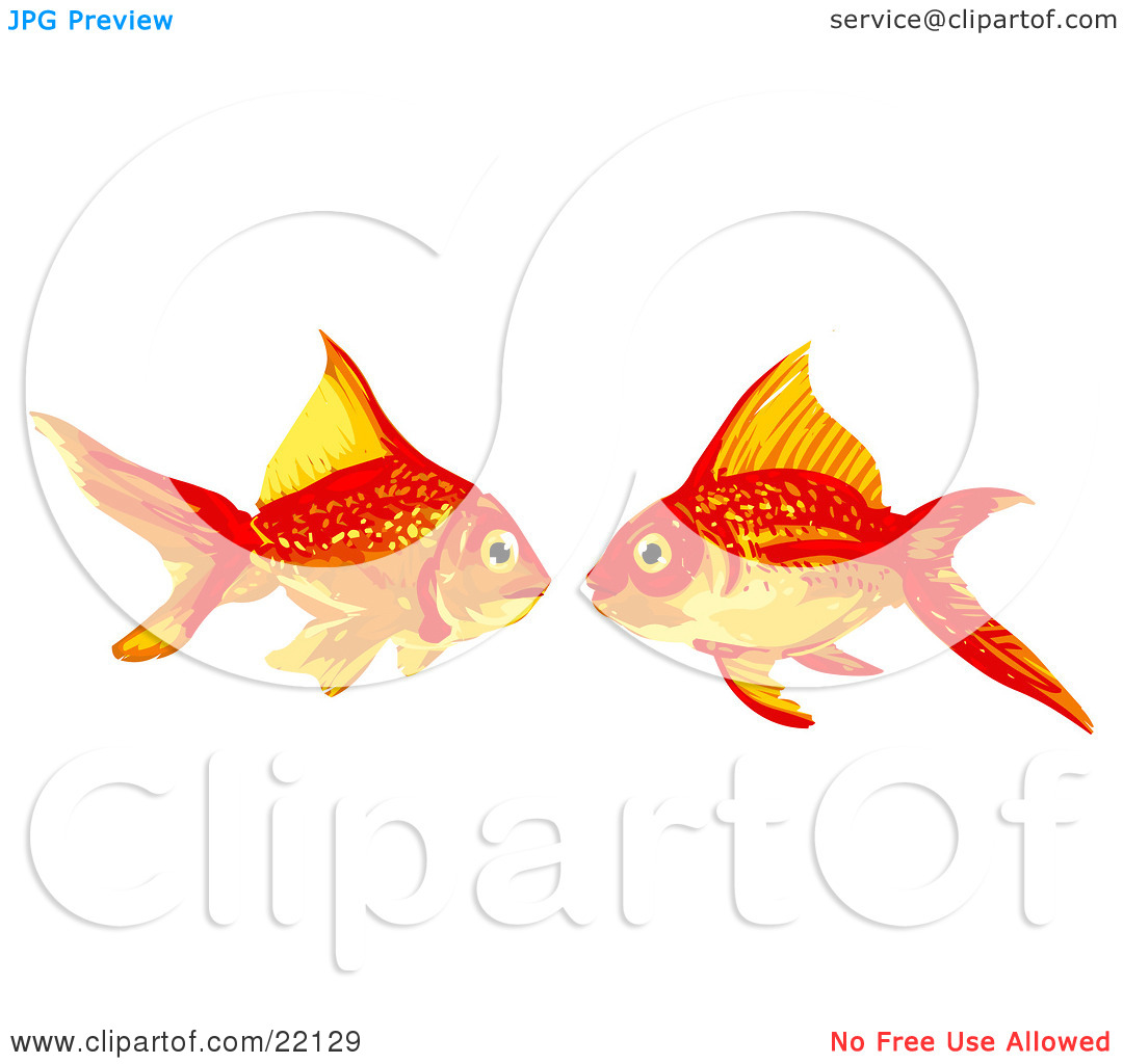 1080x1024 Goldfish Clipart Red Fish