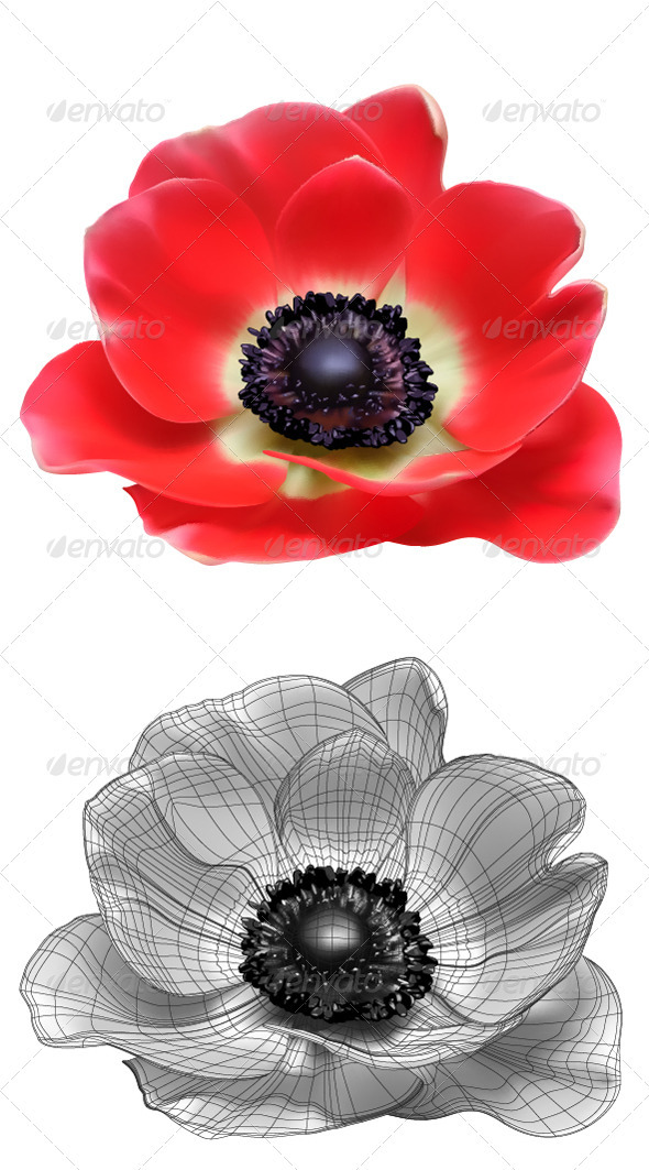 590x1063 Red Flower Vector Illustration By Wsq Graphicriver