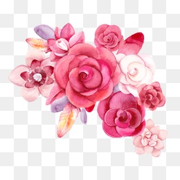 260x260 Red Flowers Png Images Vectors And Psd Files Free Download On