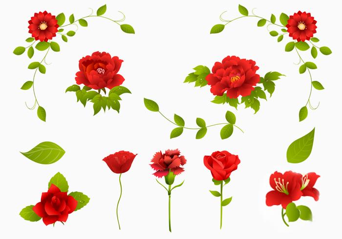 700x490 Red Rose, Carnation, And Flower Vector Pack