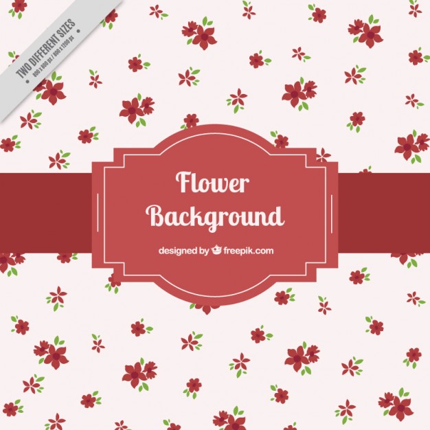 626x626 Red Flower Background Vector Free Download