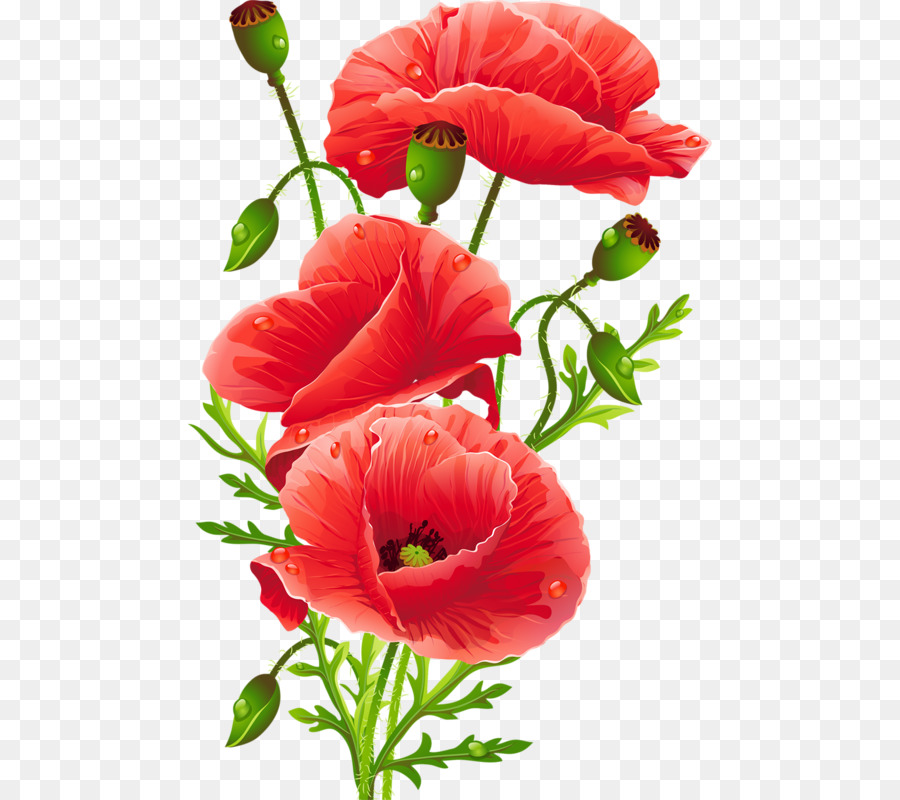 900x800 Flower Bouquet Common Poppy Floristry