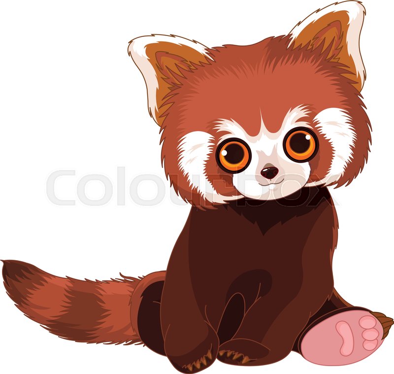 800x759 Illustration Of Cute Red Panda Stock Vector Colourbox
