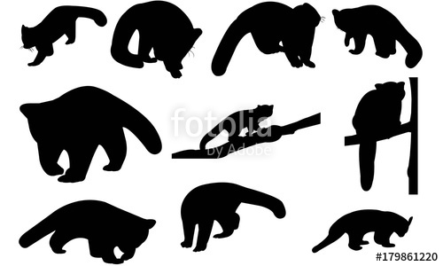 500x300 Red Panda Silhouette Vector Graphics Stock Image And Royalty