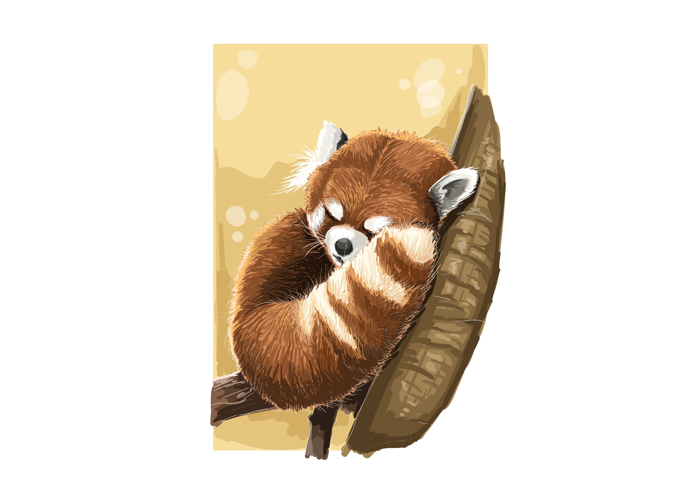 2696x1921 Time Lapse Adobe Illustrator Red Panda Vector Painting