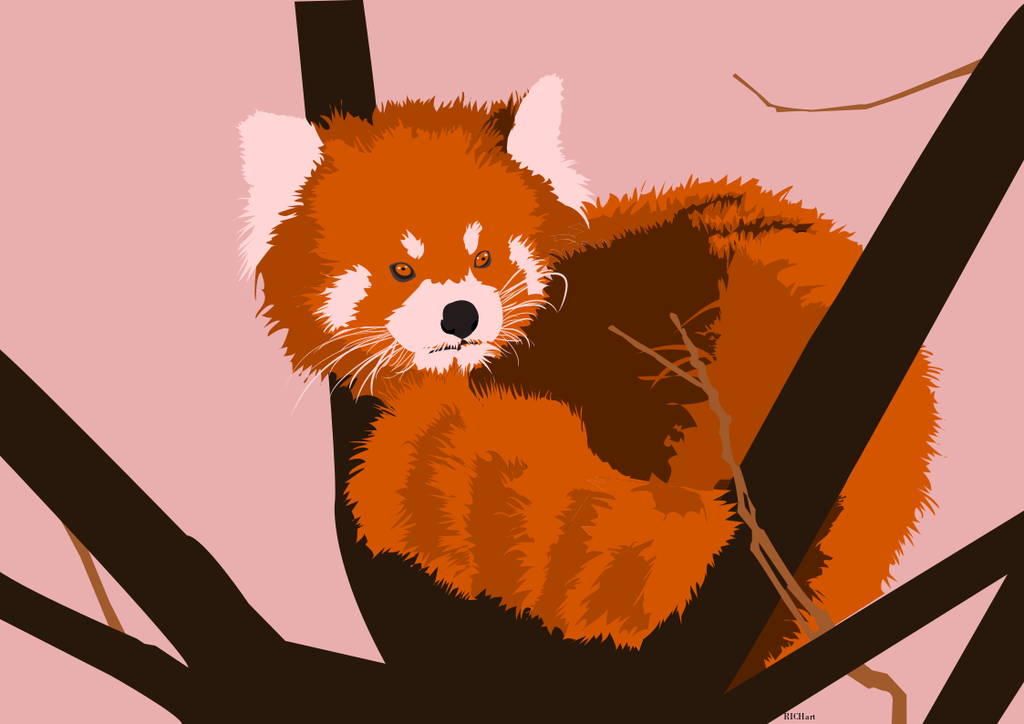1024x724 Vector Red Panda By Delararichiell