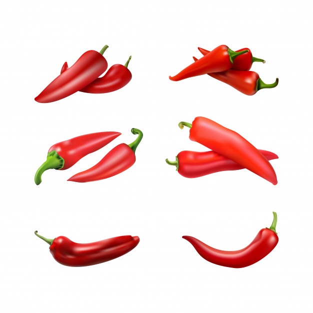 626x626 Chili Vectors, Photos And Psd Files Free Download