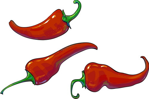 500x331 3 Red Pepper Vector Illustration Free Download