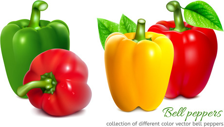461x262 Bell Pepper Free Vector Download (758 Free Vector) For Commercial